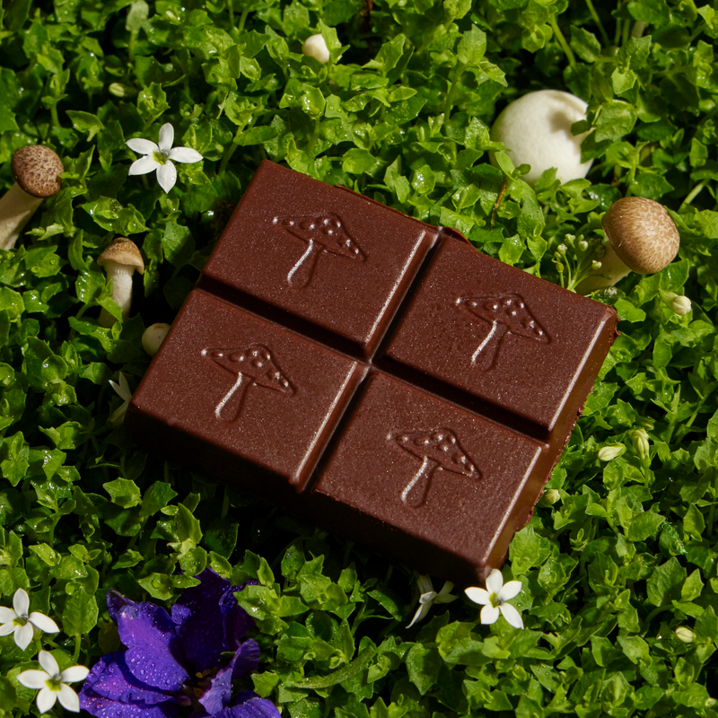 Discovery Set - Brainstorm, Nightcap, Party Trick and Happy Ending Functional Mushroom Chocolates