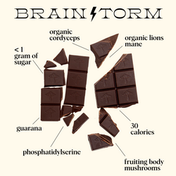 Mocha Brainstorm