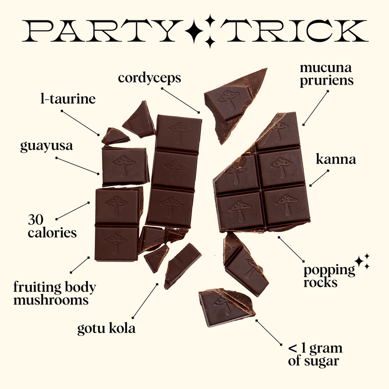 Discovery Set - Brainstorm, Nightcap, Party Trick and Happy Ending Functional Mushroom Chocolates
