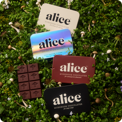 Discovery Set - Brainstorm, Nightcap, Party Trick and Happy Ending Functional Mushroom Chocolates